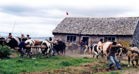 D-029 MINGA TIRADURA DE CASA